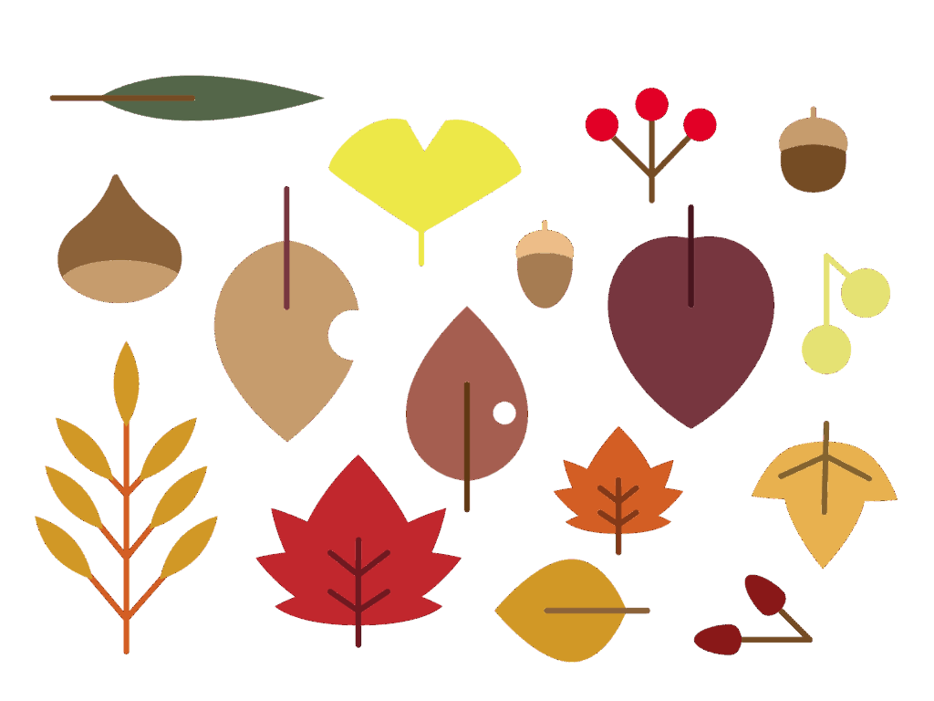 秋の木の実のイラスト